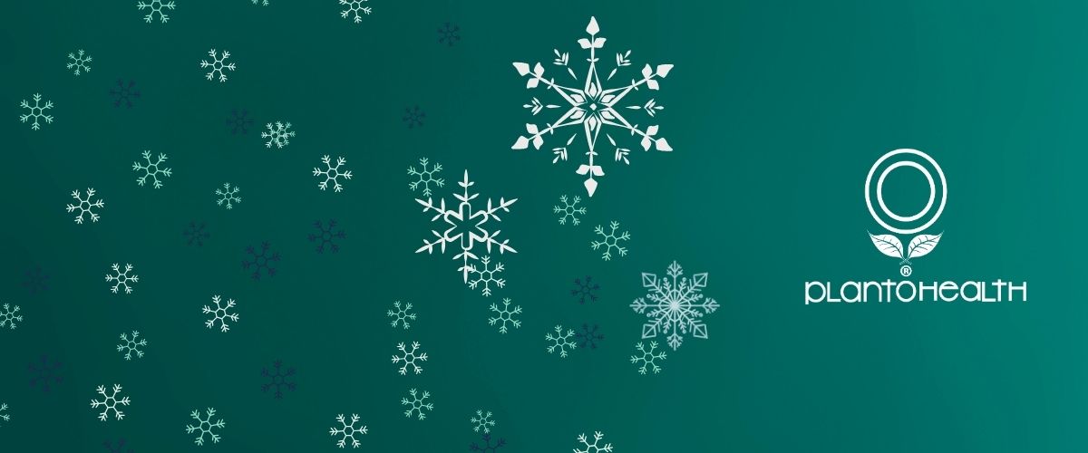 Yeni Yıla Sağlıkla Başlayın: PlantoHealth Sağlıklı Yaşam Önerileri