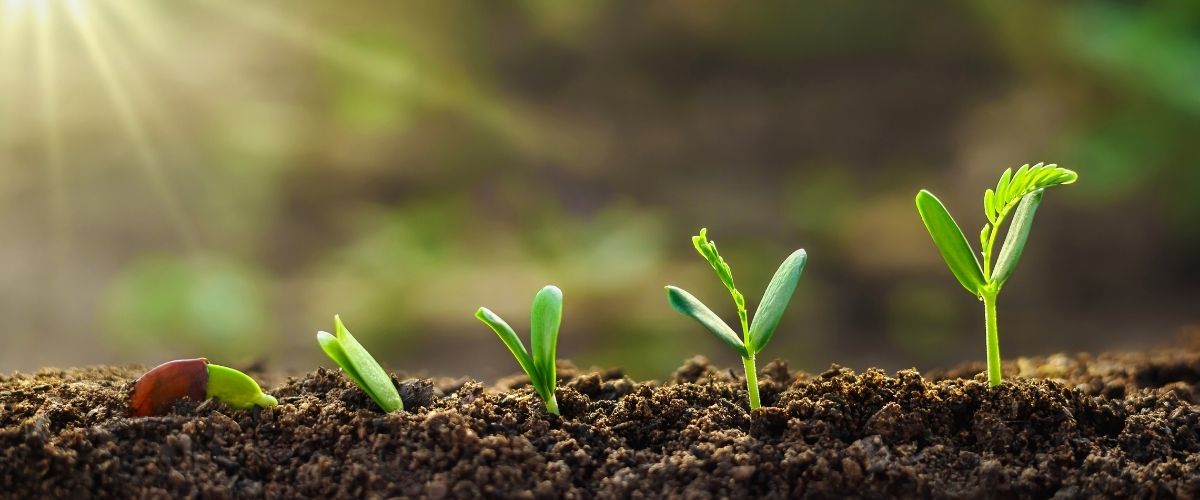 Sağlıklı Yaşam İçin Küçük Adımlar, Büyük Farklar