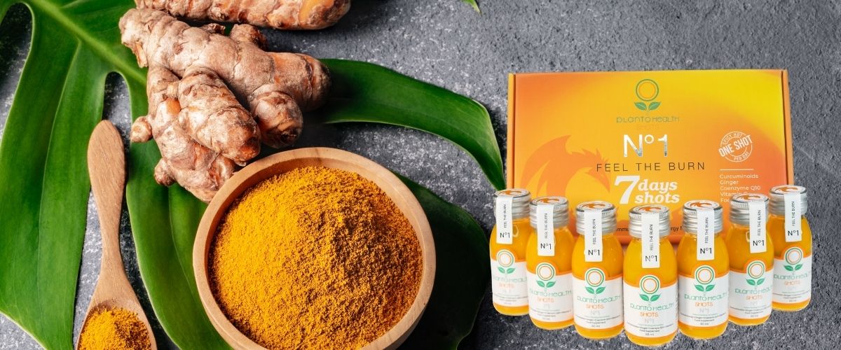 The Secret of PlantoHealth Shots: Science and the Power of Gingerol