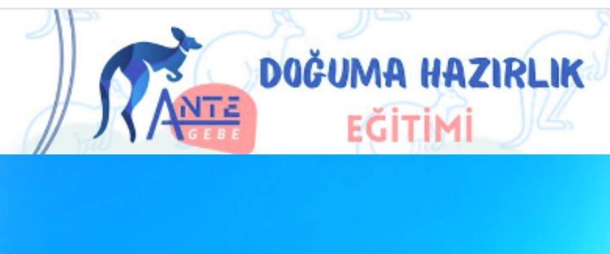 9. Ante Clinic Pregnant Education